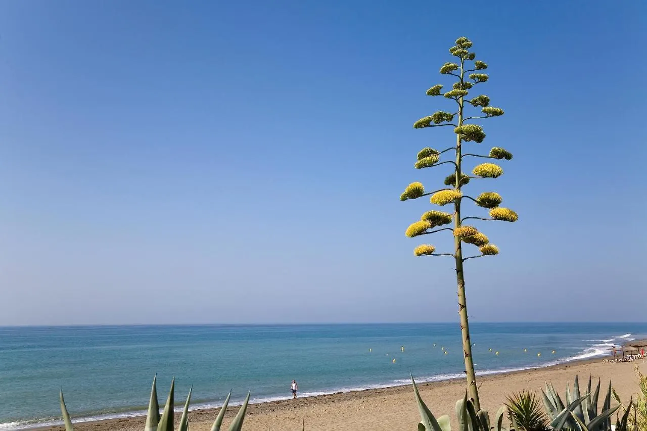 Apartment Appt 311 Heaven Beach-Paseo-All Year Heated Pool-Free Bikes Estepona